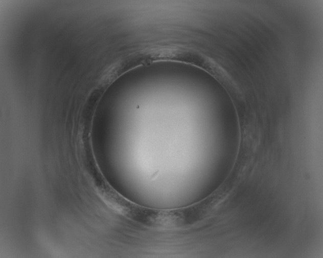 X0000051910209200506241451