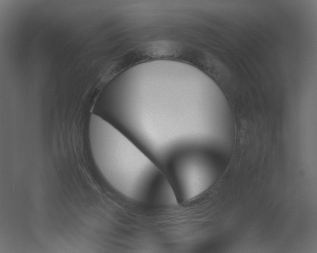 X0000051910210200506241451