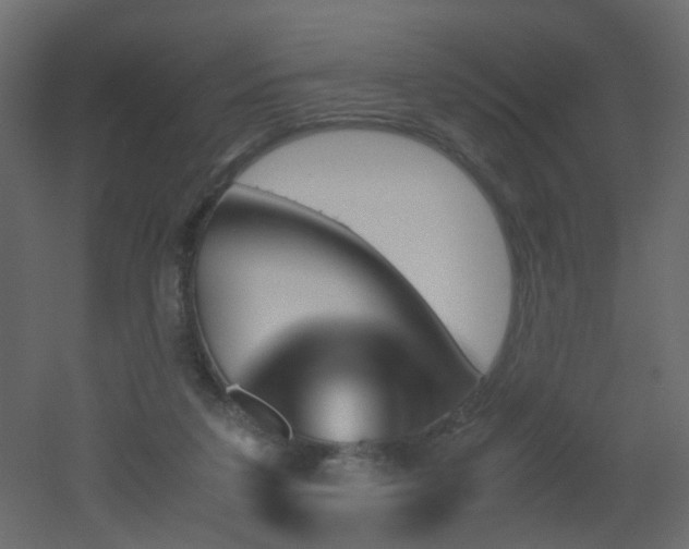 X0000051910211200506241451