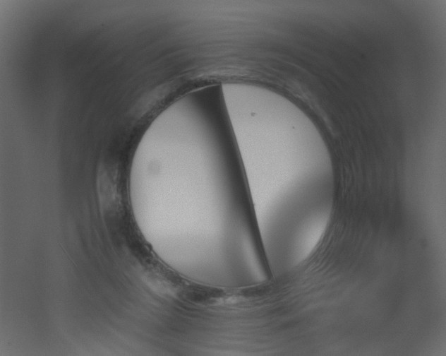 X0000051910212200506241451