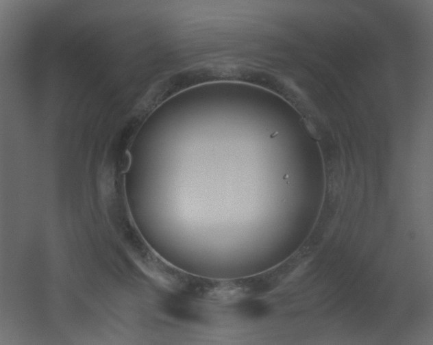 X0000051910213200506241451