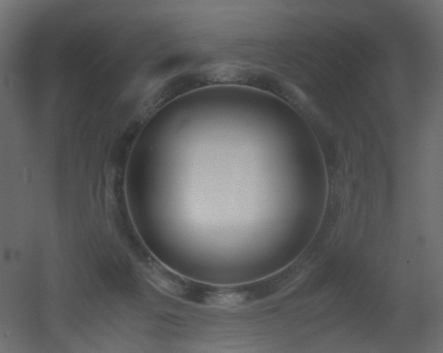 X0000051910217200506241451