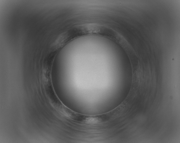 X0000051910218200506241451