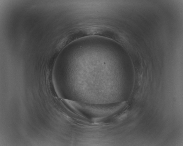 X0000051910219200506241451