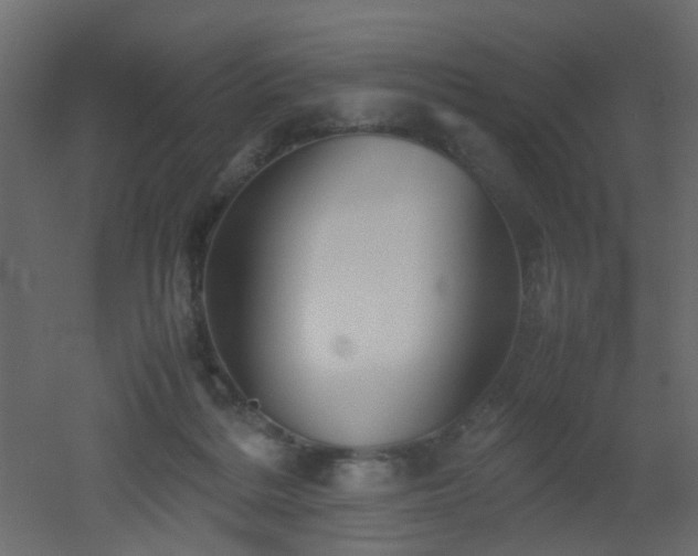 X0000051910220200506241451