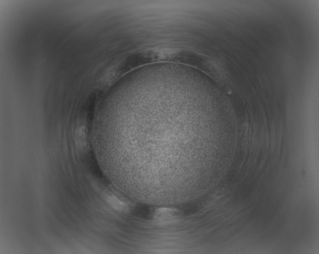 X0000051910222200506241451