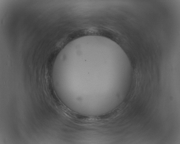 X0000051910223200506241451