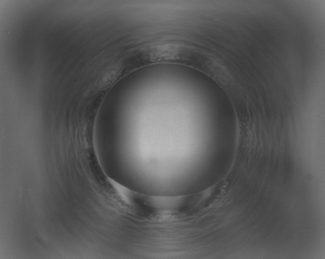 X0000051910224200506241451