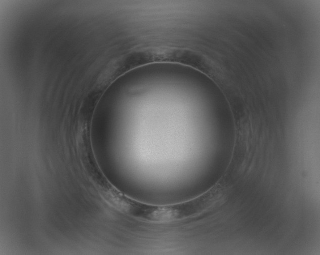 X0000051910225200506241451