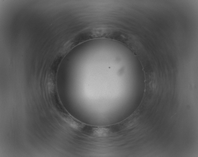 X0000051910226200506241451