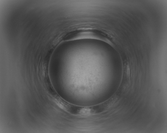 X0000051910227200506241451