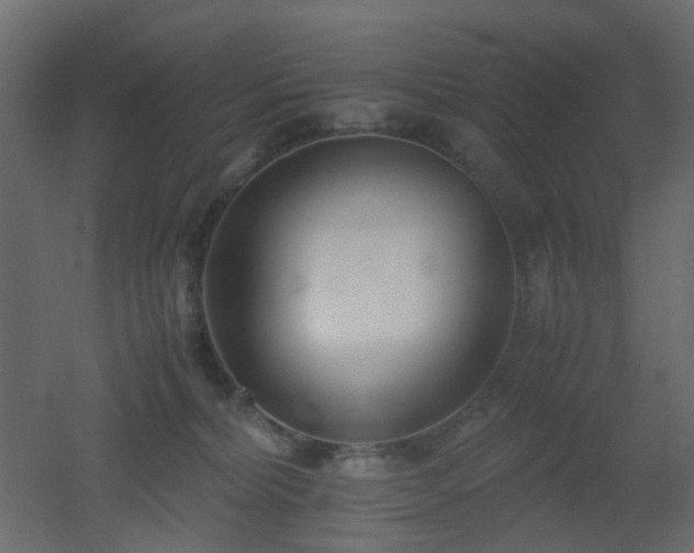 X0000051910228200506241451