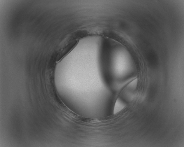 X0000051910229200506241451