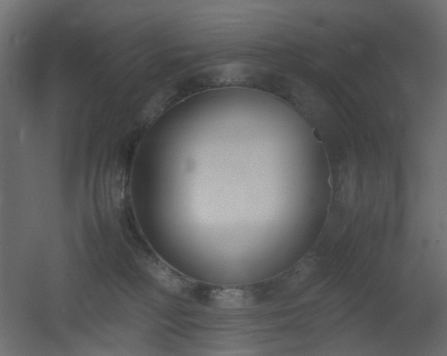 X0000051910230200506241451