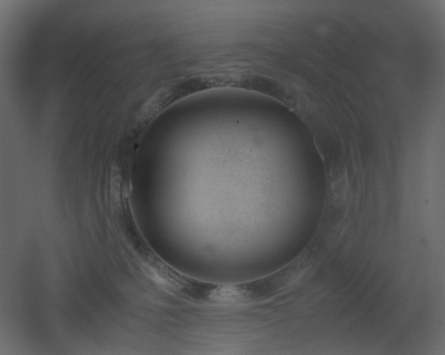 X0000051910231200506241451