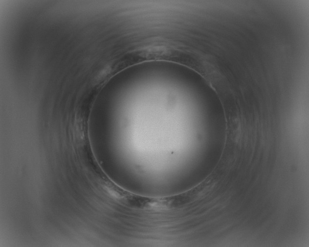 X0000051910232200506241451