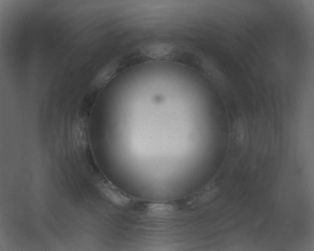 X0000051910234200506241451