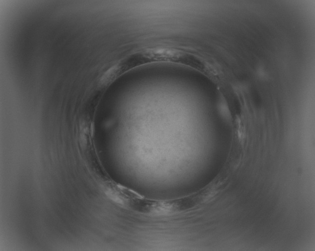 X0000051910235200506241451