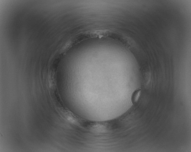 X0000051910236200506241451