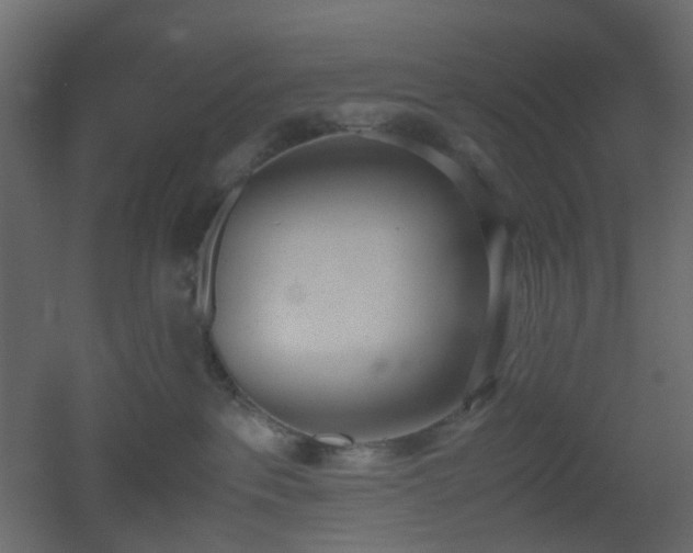 X0000051910237200506241451