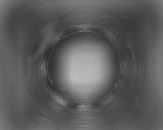 X0000051910238200506241451