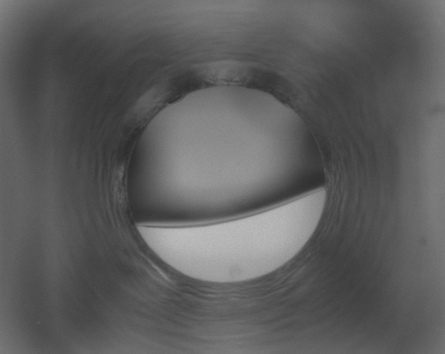 X0000051910239200506241451