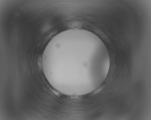 X0000051910240200506241451