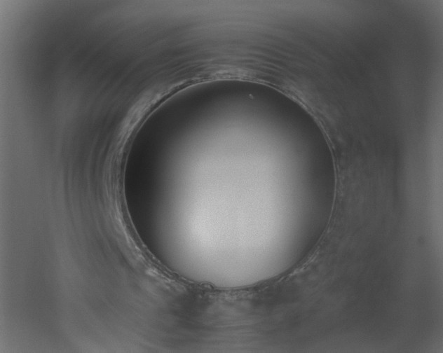 X0000051910241200506241450