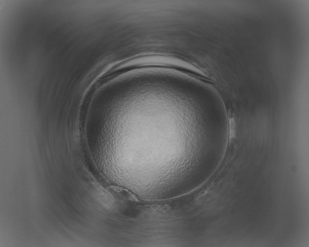 X0000051910243200506241450