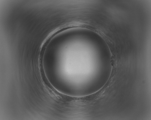 X0000051910244200506241450