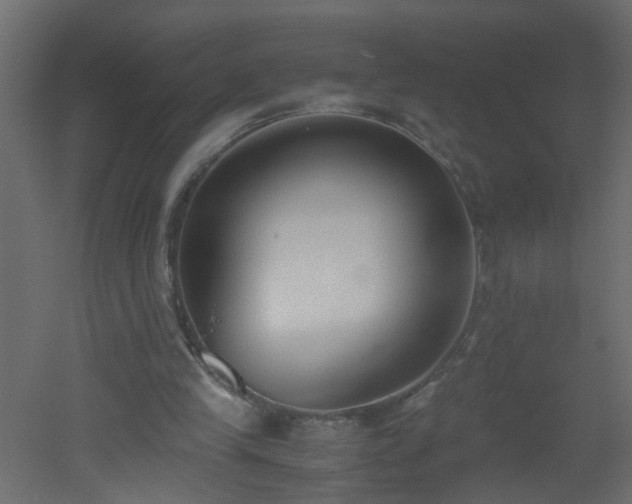 X0000051910245200506241450