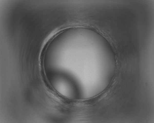 X0000051910246200506241450