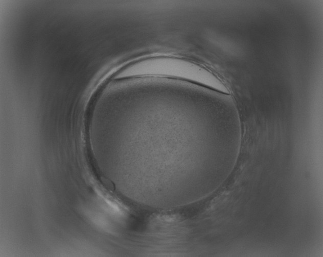 X0000051910247200506241450