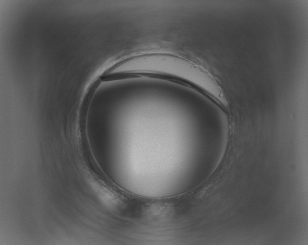 X0000051910248200506241450