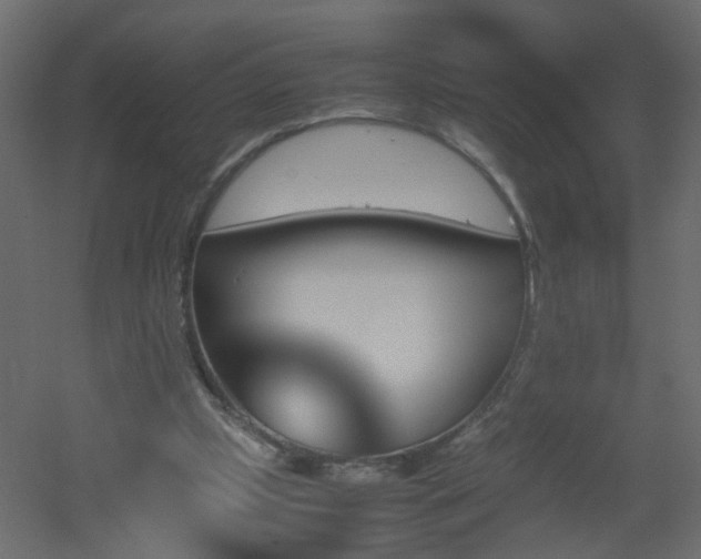 X0000051910249200506241450