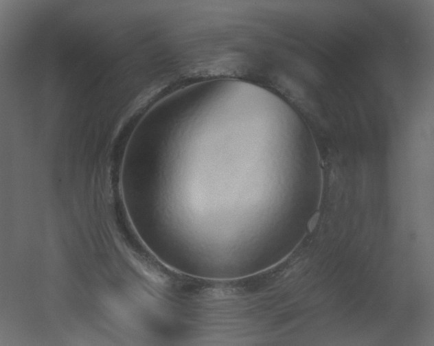 X0000051910250200506241450