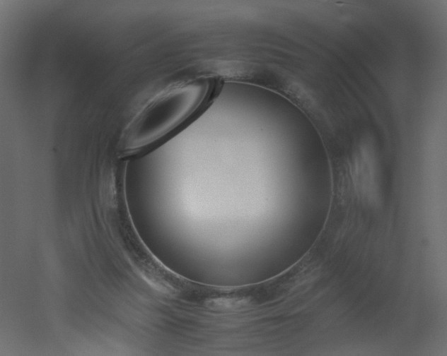 X0000051910251200506241450