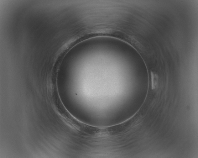 X0000051910252200506241450