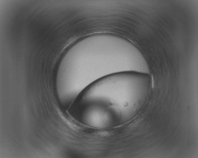 X0000051910253200506241450