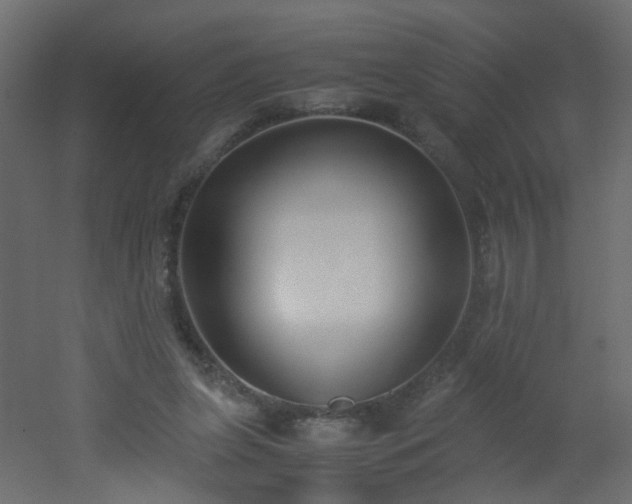 X0000051910255200506241450