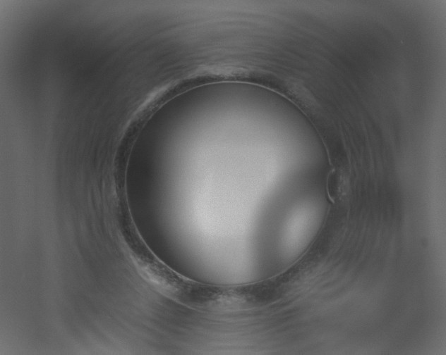 X0000051910256200506241450