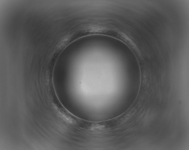 X0000051910257200506241450