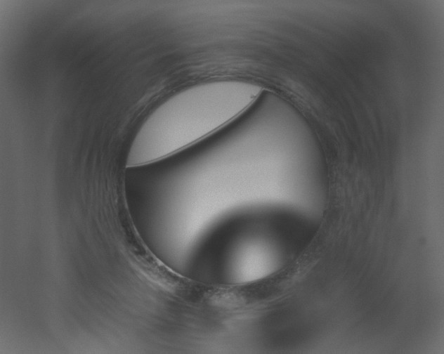 X0000051910258200506241450