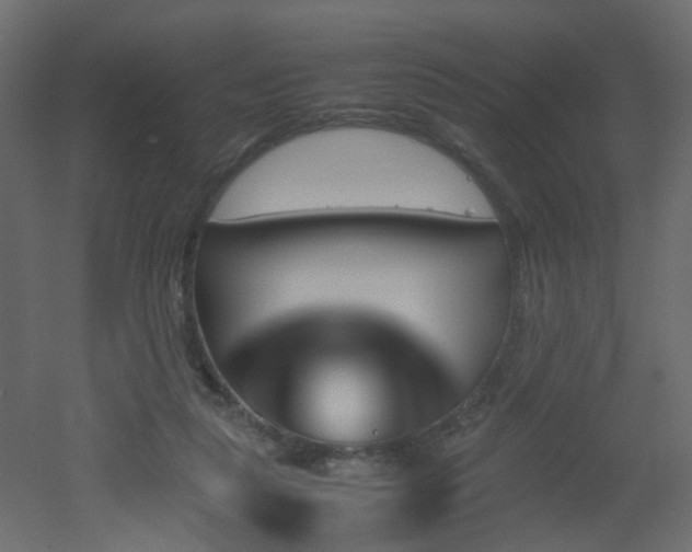 X0000051910259200506241450