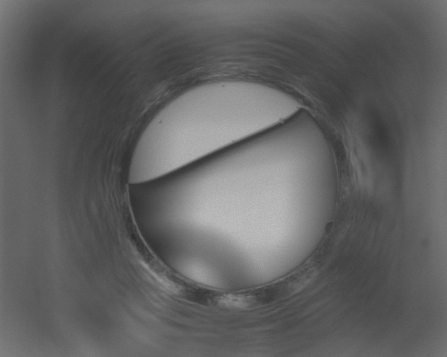 X0000051910261200506241450