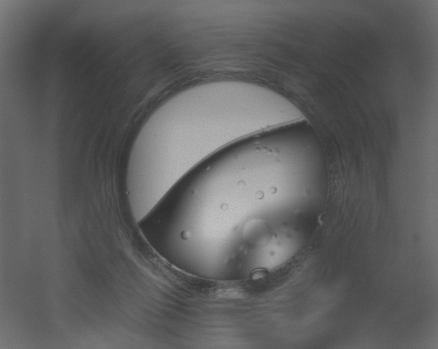 X0000051910262200506241450