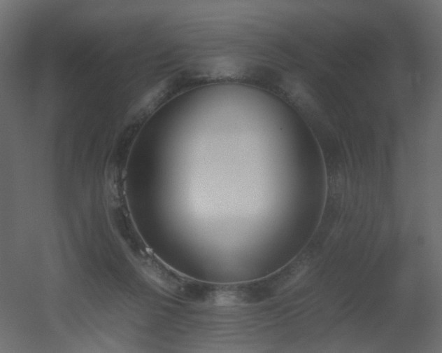 X0000051910264200506241450