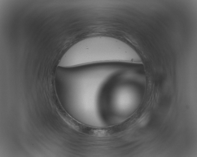 X0000051910265200506241450