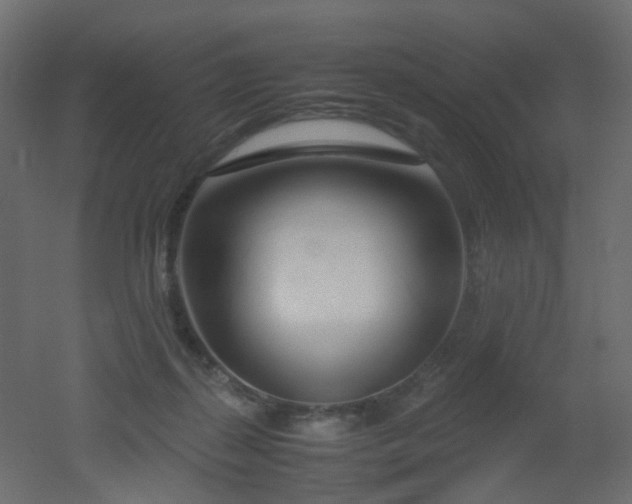 X0000051910267200506241450