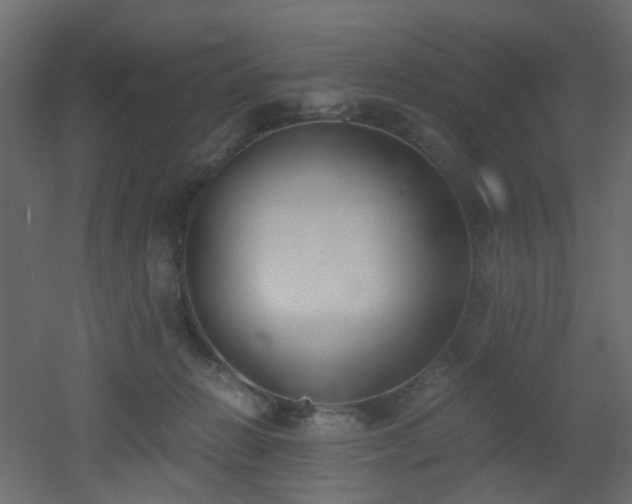 X0000051910270200506241451